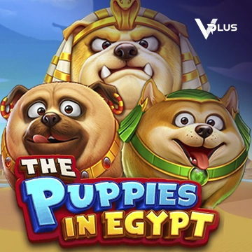The Puppies In Egypt - GECKO158
